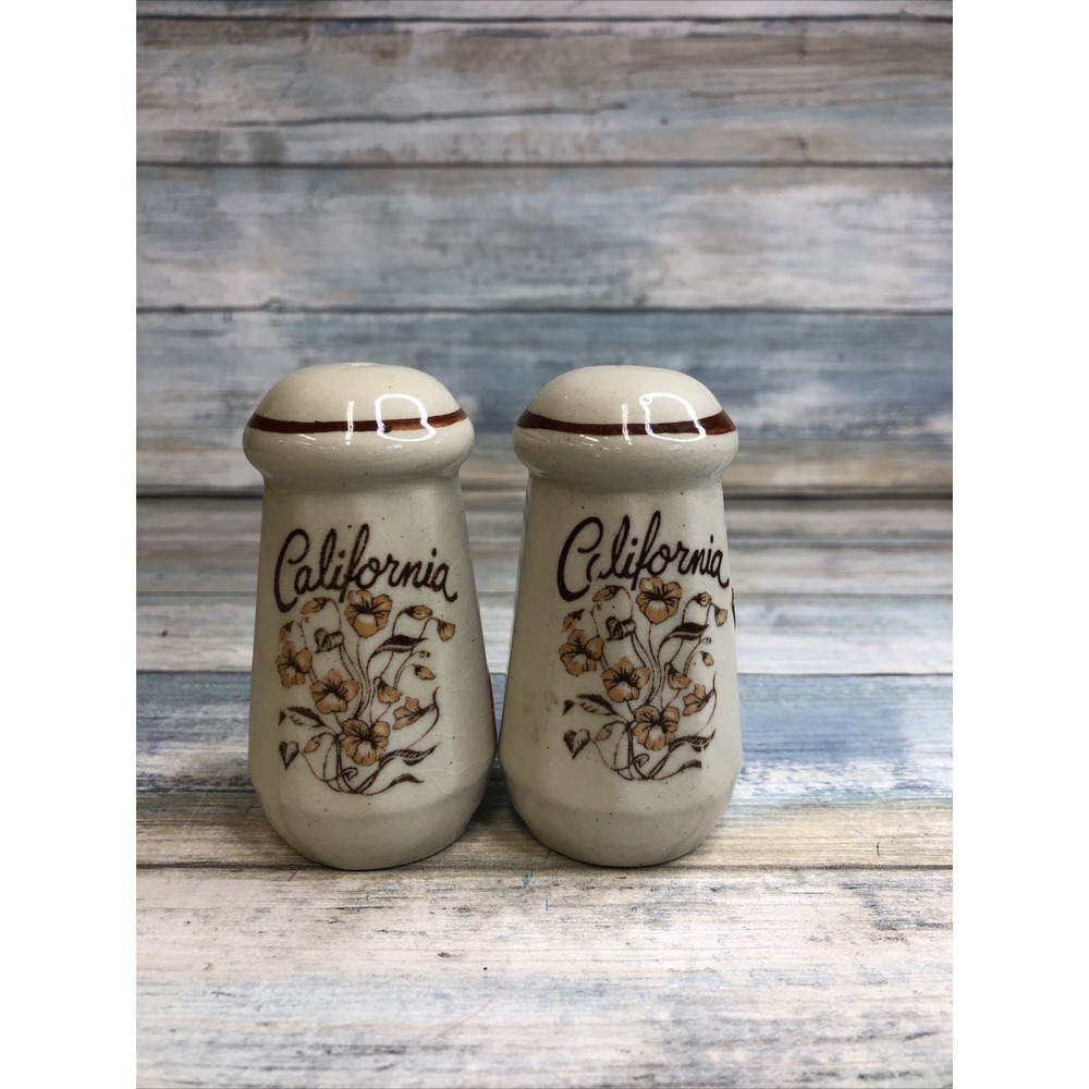 California Salt And Pepper Shaker Set Flowers Vintage Collectable